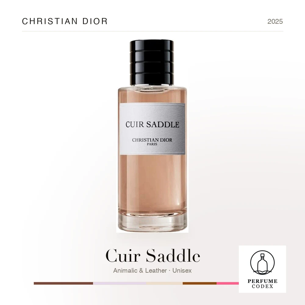 Christian Dior Cuir Saddle