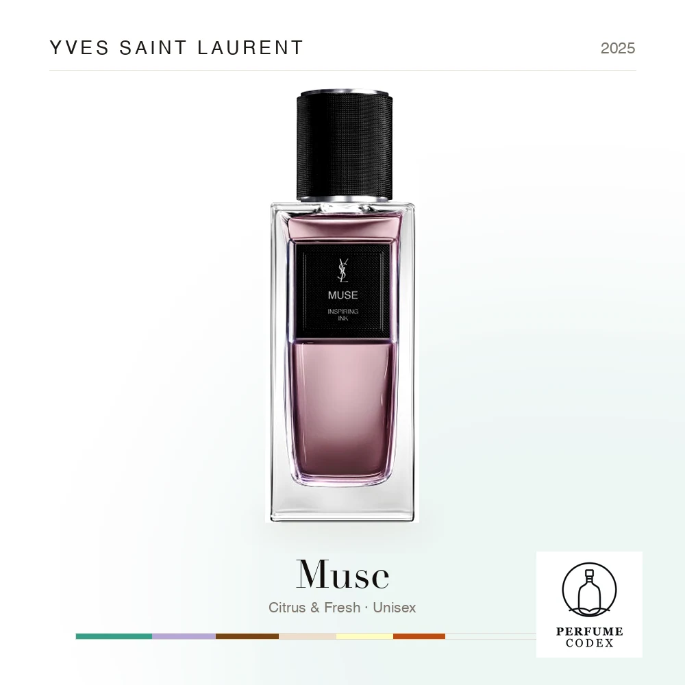 Yves Saint Laurent Muse